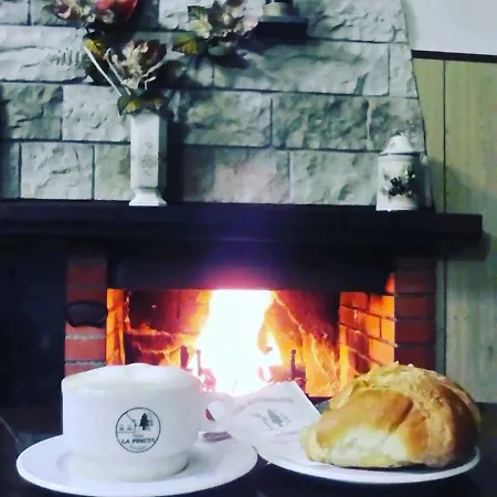 Hotel Ristorante La Pineta Scheggia